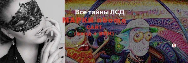 PSILOCYBIN Беломорск