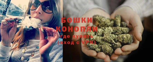 PSILOCYBIN Беломорск