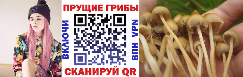 Галлюциногенные грибы мухоморы  OMG зеркало  Набережные Челны  наркота 